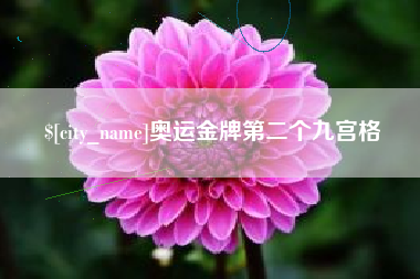 南京奥运金牌第二个九宫格