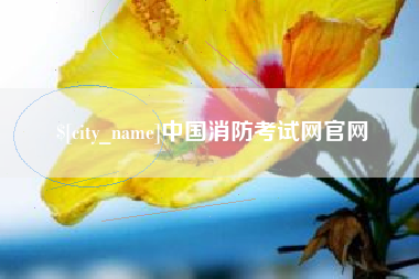 南京中国消防考试网官网
