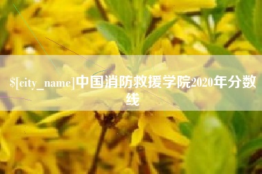 南京中国消防救援学院2020年分数线