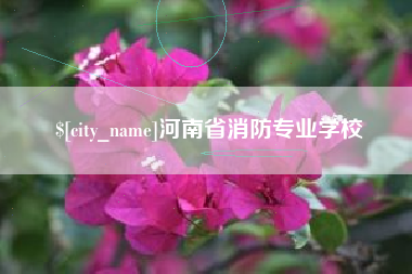 南京河南省消防专业学校