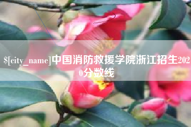 南京中国消防救援学院浙江招生2020分数线