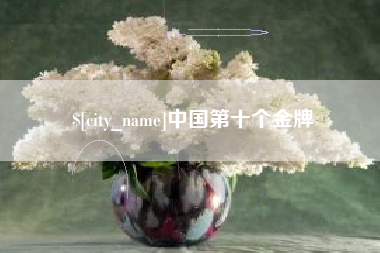 南京中国第十个金牌