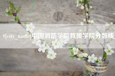 南京中国消防学院救援学院分数线