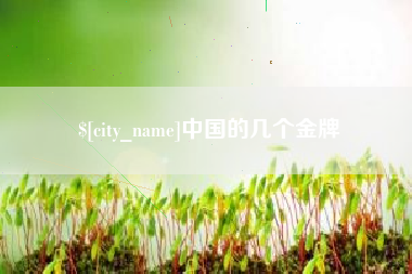 南京中国的几个金牌