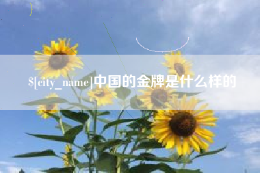 南京中国的金牌是什么样的