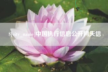 南京中国执行信息公开网失信