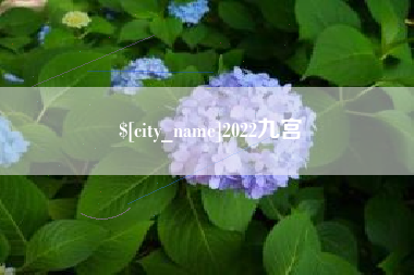 南京2022九宫