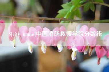 南京中国消防救援学院分数线