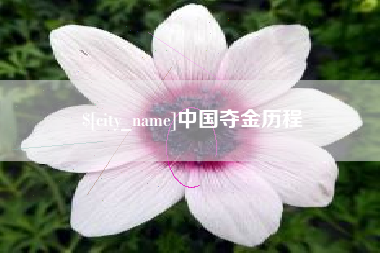 南京中国夺金历程