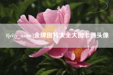 南京金牌图片大全大图卡通头像
