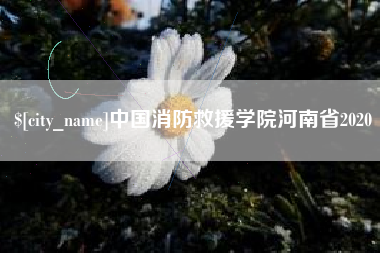 南京中国消防救援学院河南省2020